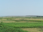 511622042008(50).JPG