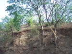 504720042008(90).JPG