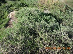 2012-09-27_14-25-53_190.JPG