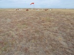 39215HOBA20110907N.JPG