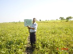 6518gt038-cropland-2.jpg