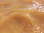 2012-09-21_14-25-35_CIMG0074.JPG