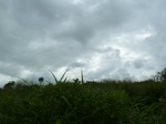 18186P1000021.JPG