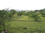 1796327042008(93).JPG