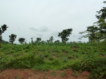 18553P1000389.JPG