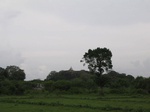 828636-rockyoutcrop-photo-500m-away-gt36.jpg