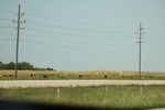 2022-01-19_17-43-49_4E8A2981.JPG