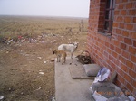 3391 043.jpg
