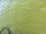 2012-09-21_14-27-07_CIMG0108.JPG