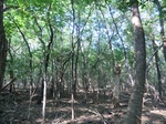2012-09-21_16-12-26_CIMG2979.JPG