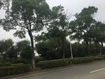 2017-09-11_22-18-07_DCBEA756-5C49-40A6-8308-5A338D5DDECE.jpg