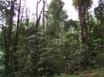 548511052008(62).JPG