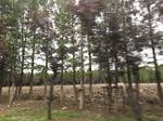2017-09-12_10-32-48_51458AB2-1074-4771-BCDC-1190E6B5C7AF.jpg
