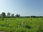19400P1010247.JPG