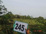 72060245b-irrigated-supplemental-groundwater-sugarcane-dominant-mango-plantation.jpg