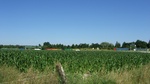 2016-07-25_03-26-55_DSCF1476.JPG