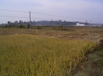 3211R0017245.JPG