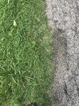 2017-07-04_15-37-08_6978C258-4686-4983-B5B5-35828478B368.jpg