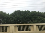 2017-09-12_10-44-09_69203D22-C03C-4F31-83CA-0D6490FB33EF.jpg