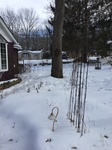2017-02-24_11-52-29_Feb17-065-NJ.jpg