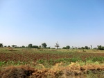 41255CIMG8092.JPG