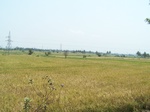 521126042008(11).JPG