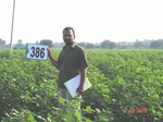 76770386b-rainfed-agriculture-cotton.jpg