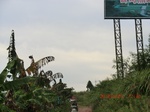 2012-09-26_20-49-49_CIMG1102.JPG