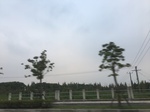 2017-09-12_03-27-35_4CEF4356-D7DE-4A86-A10F-863CF93DEDAA.jpg