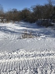 2018-02-23_15-04-46_B779897E-6D53-405C-A1E5-2723A5EA7BB7.jpg