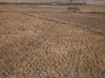 3169R0017203.JPG