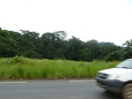 20237P1020092.JPG