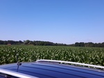 2016-08-05_03-28-40_IMG_20160719_105719.jpg