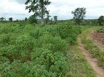 18497P1000333.JPG