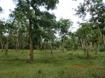 2012-09-26_20-48-17_CIMG1093.JPG