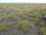 39294SLAP20110808W.JPG
