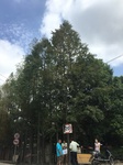 2017-09-12_12-38-14_673AB9D8-02B1-4CAF-87DB-B41B21FD0150.jpg