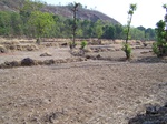 506220042008(111).JPG