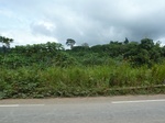 20249P1020104.JPG
