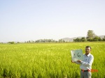 6472gt016-cropland.jpg