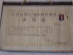 3367 019.jpg