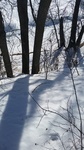 2017-02-17_13-59-53_20170216_135832.jpg