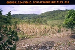 40459ANH1934.JPG