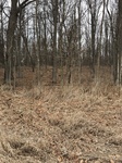 2018-02-17_13-47-02_5FB6D7AC-A3F8-4266-B19A-0D5B2EDD6238.jpg