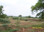 491518042008(15).JPG