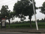 2017-09-12_10-44-02_5B3739B1-869A-4B9D-B79F-0B230513058D.jpg