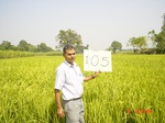 11302gt105-cropland-2.jpg