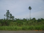 3728RIMG0031.JPG