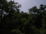 8952RIMG0026.JPG