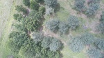 2017-06-12_13-57-37_DJI_0026.jpg